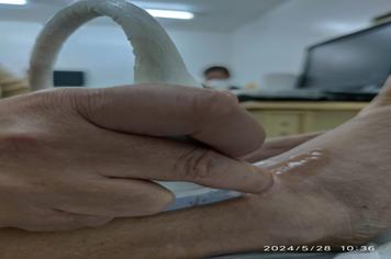 Atendimento com o médico vascular Dr. Moreira