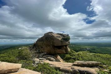 28/04 Dia Nacional da Caatinga