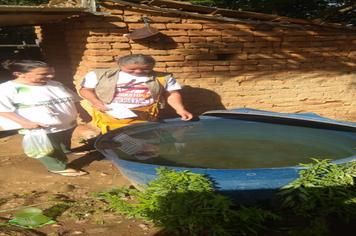 Campanha de Combate Contra a Dengue